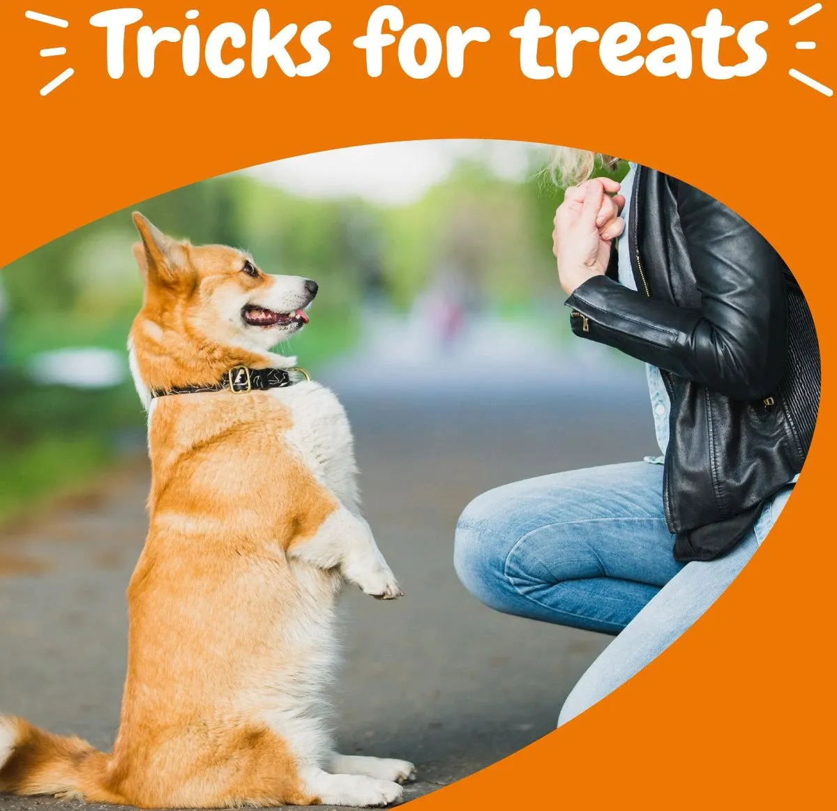 All in One Training Bites Bacon Flavor Soft Chews For Dogs - Pouch