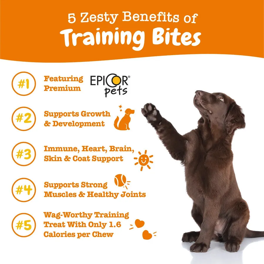 All in One Training Bites Peanut Butter Flavor Soft Chews For Dogs - Pouch