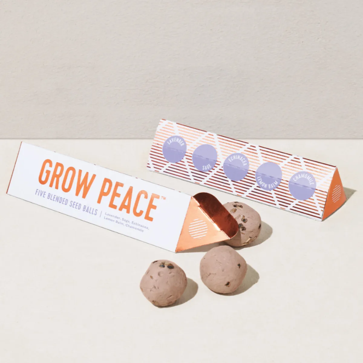 Bright Side Seed Balls by Modern Sprout