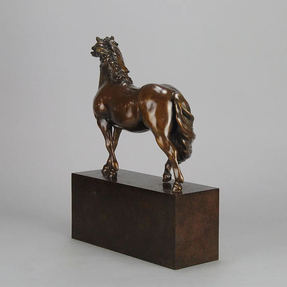 “Dartmoor Pony” by Nick Bibby