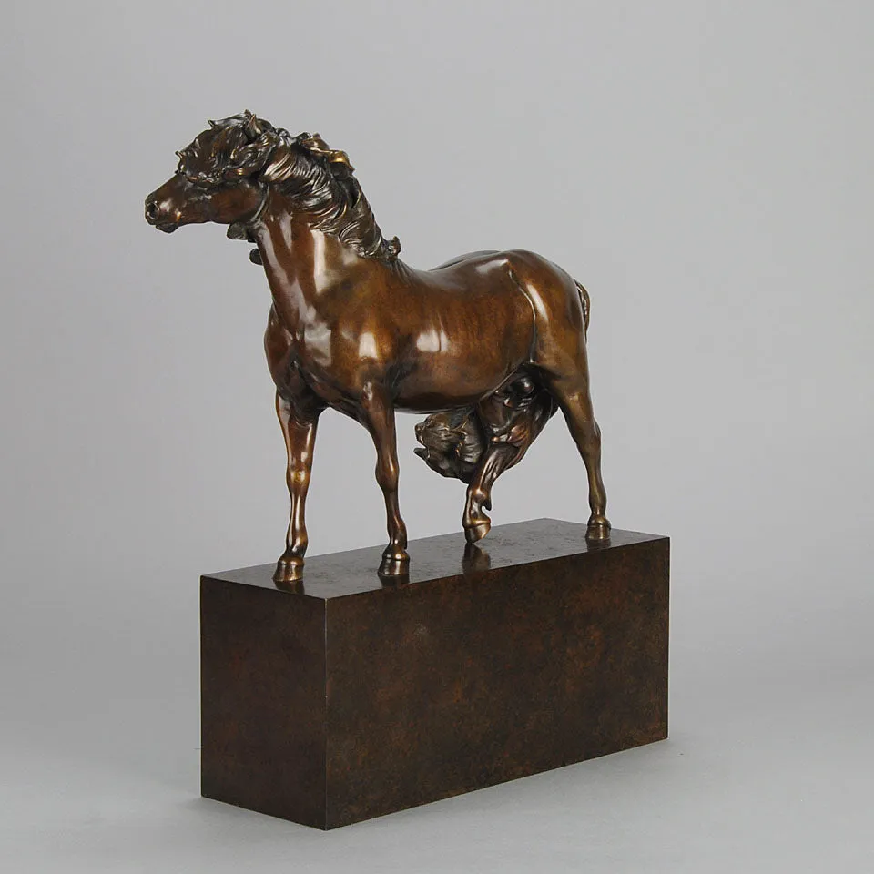“Dartmoor Pony” by Nick Bibby