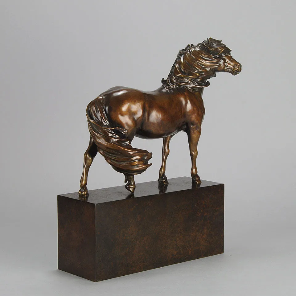 “Dartmoor Pony” by Nick Bibby