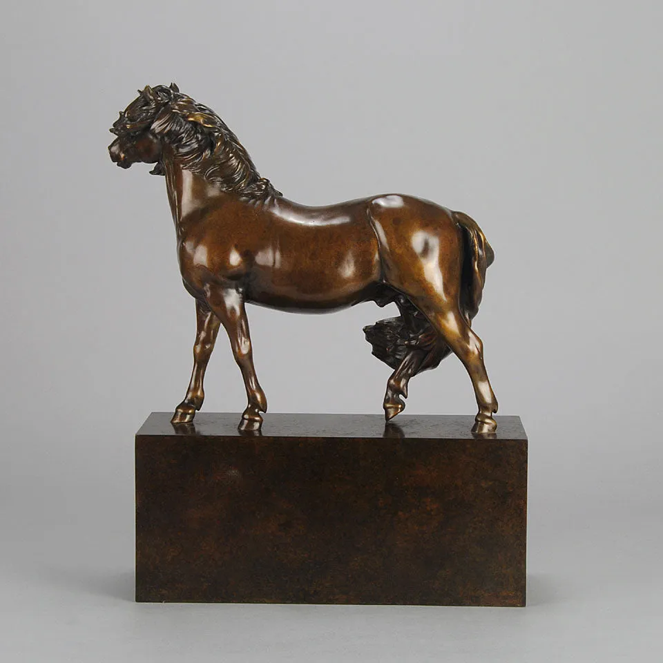 “Dartmoor Pony” by Nick Bibby