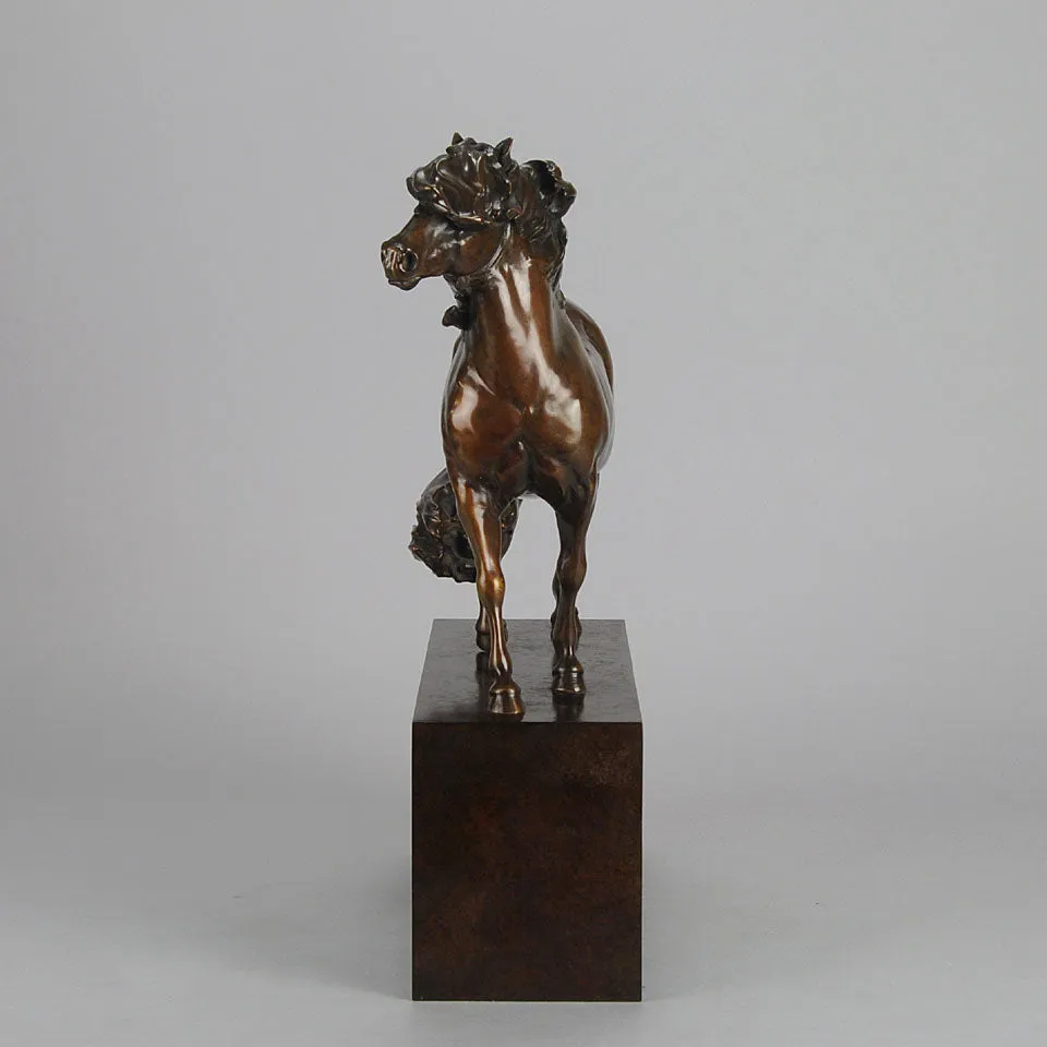 “Dartmoor Pony” by Nick Bibby