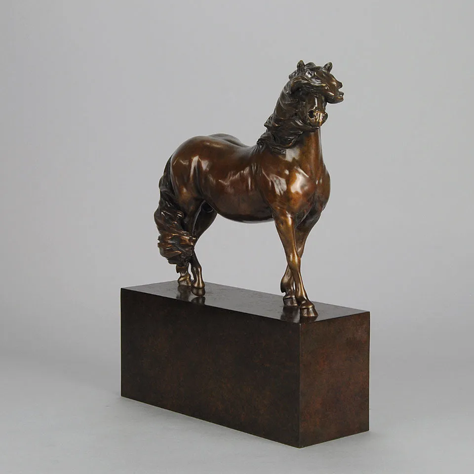 “Dartmoor Pony” by Nick Bibby