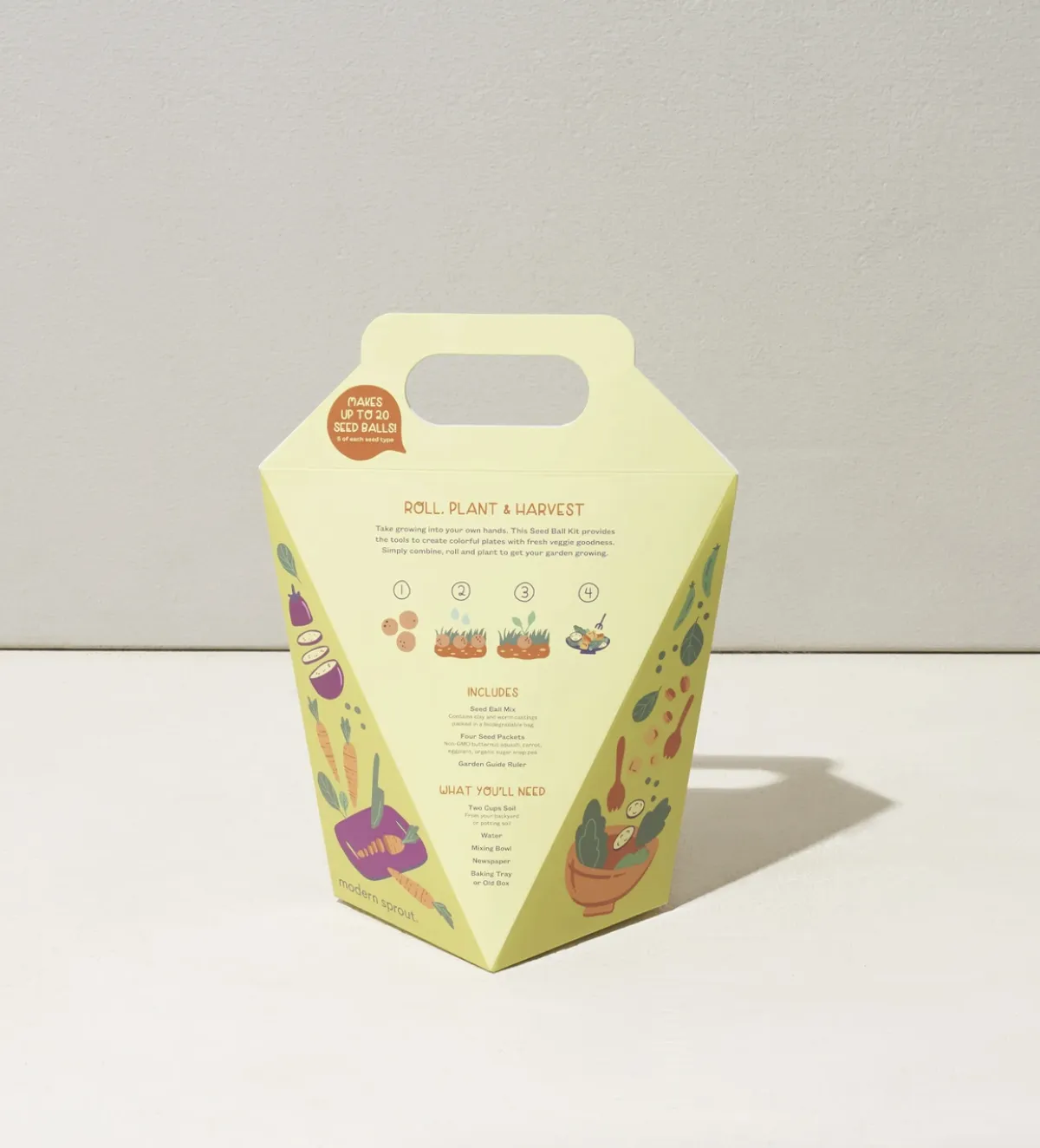 DIY Seed Ball Kit by Modern Sprout