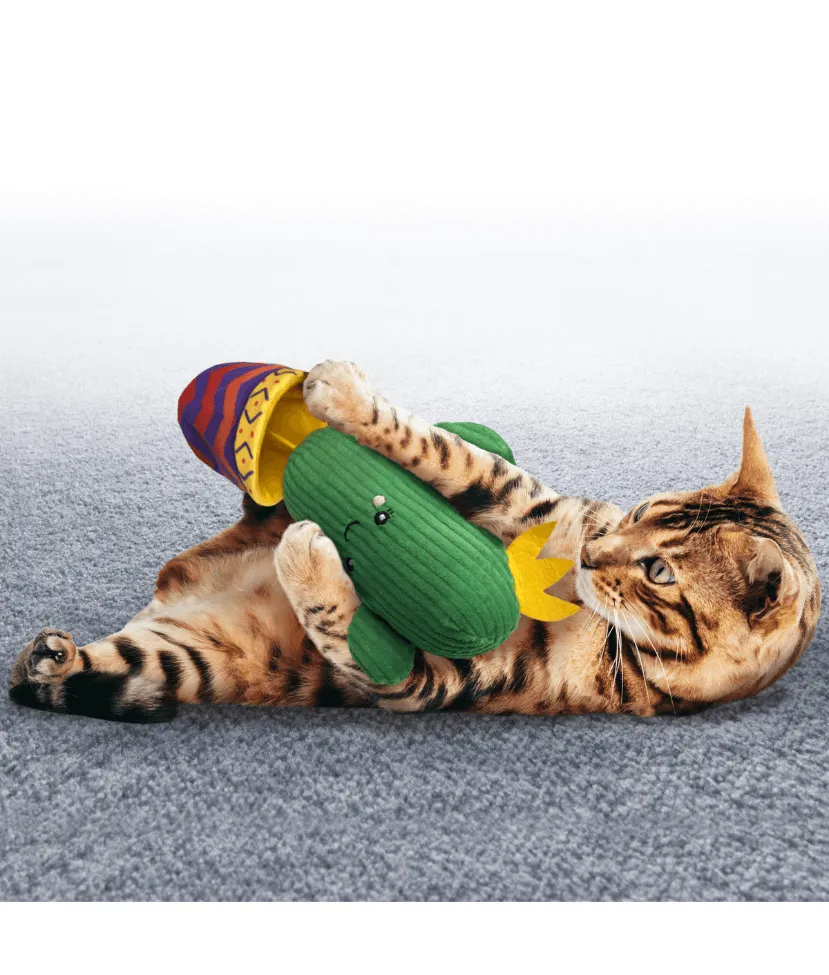 Kong - Wrangler Cactus