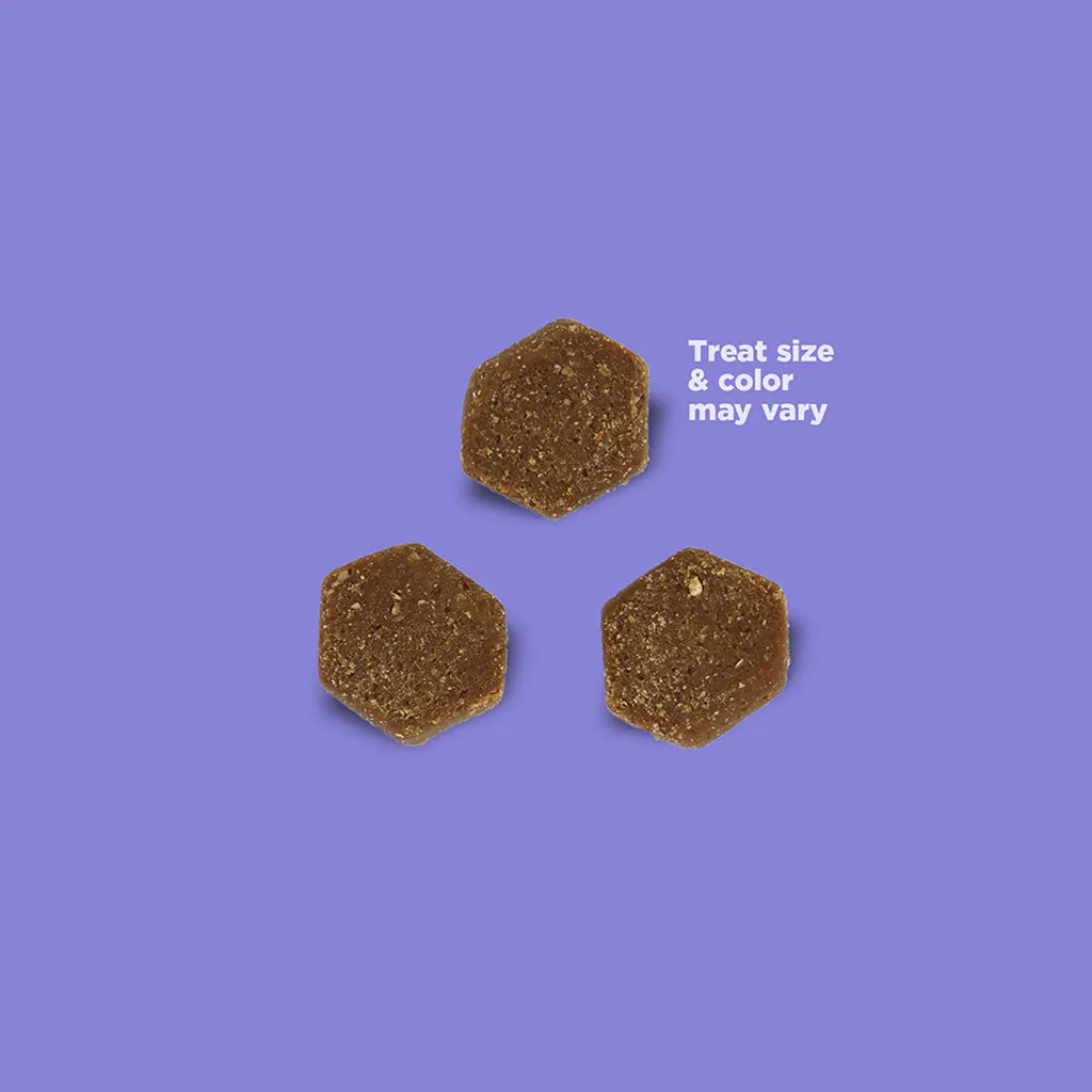 NutriSource Little Bites with Salmon Dog Treats, 6-oz