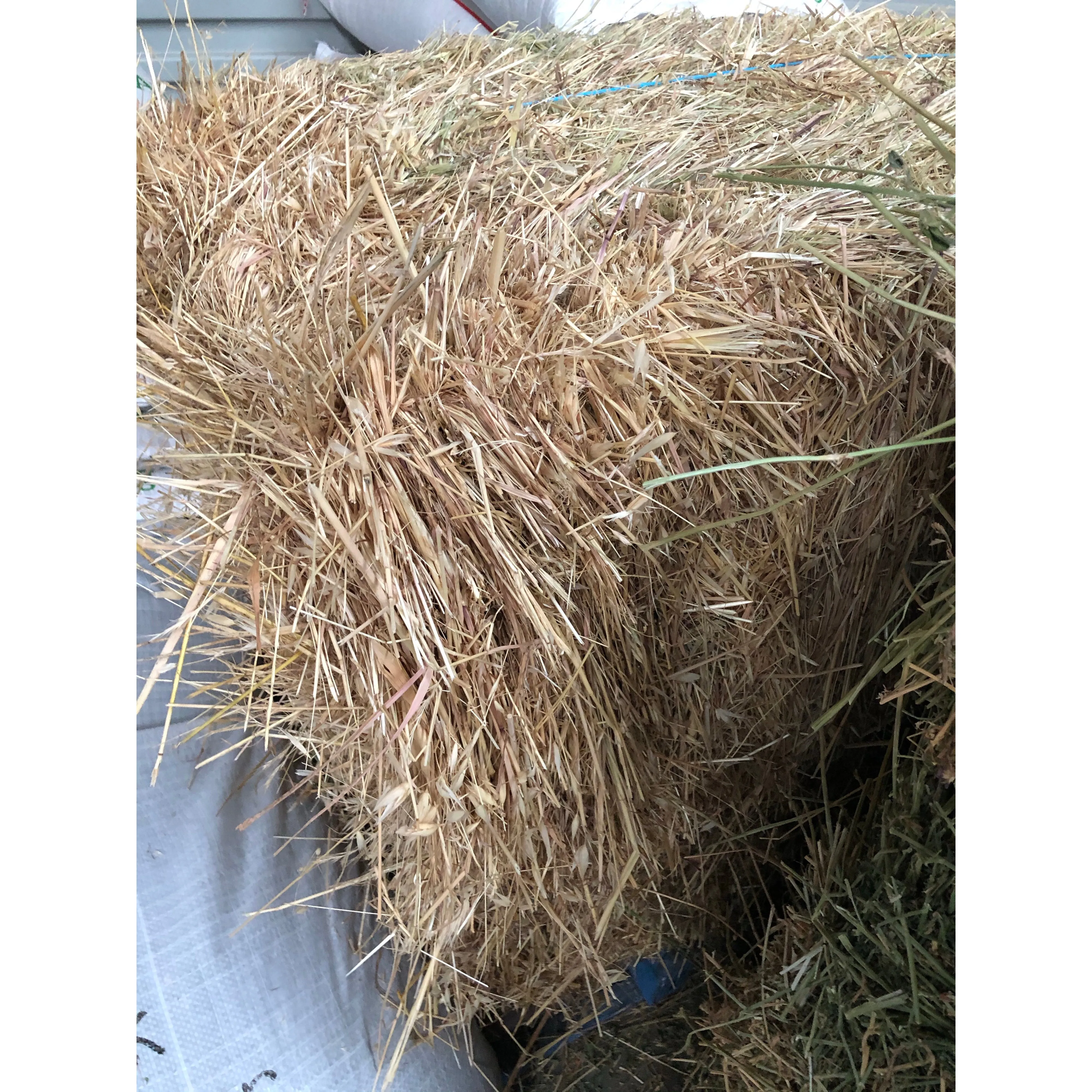 Oaten Hay