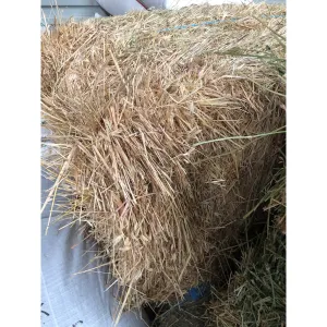 Oaten Hay