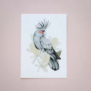 Percussionist Giclée Print