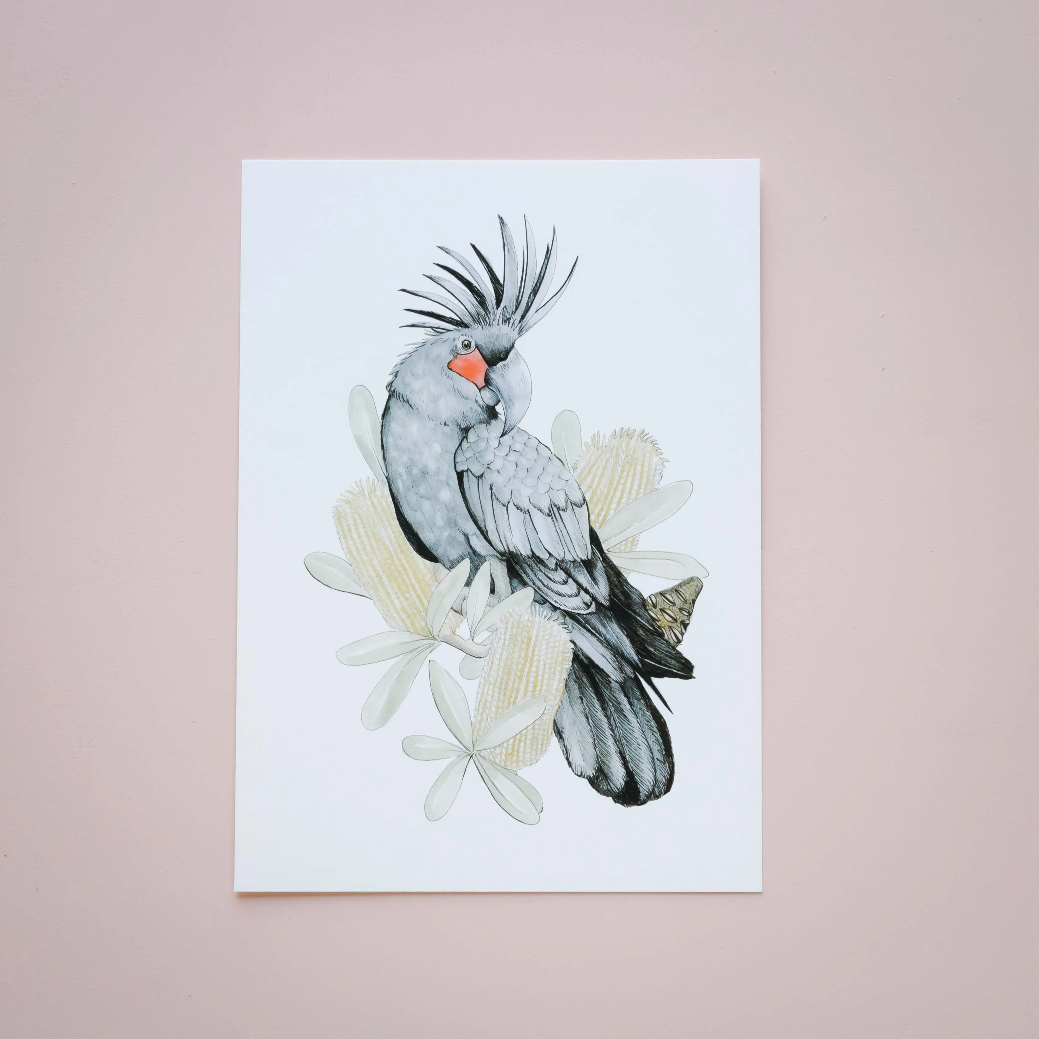 Percussionist Giclée Print