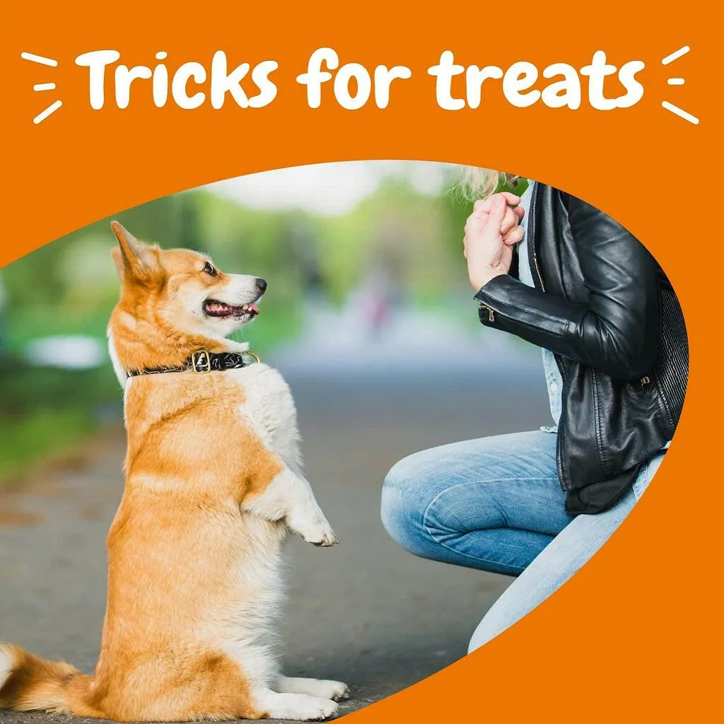 Zesty paws All-in-One Bacon Flavored Multivitamin Training Bites for Dogs (8 oz)
